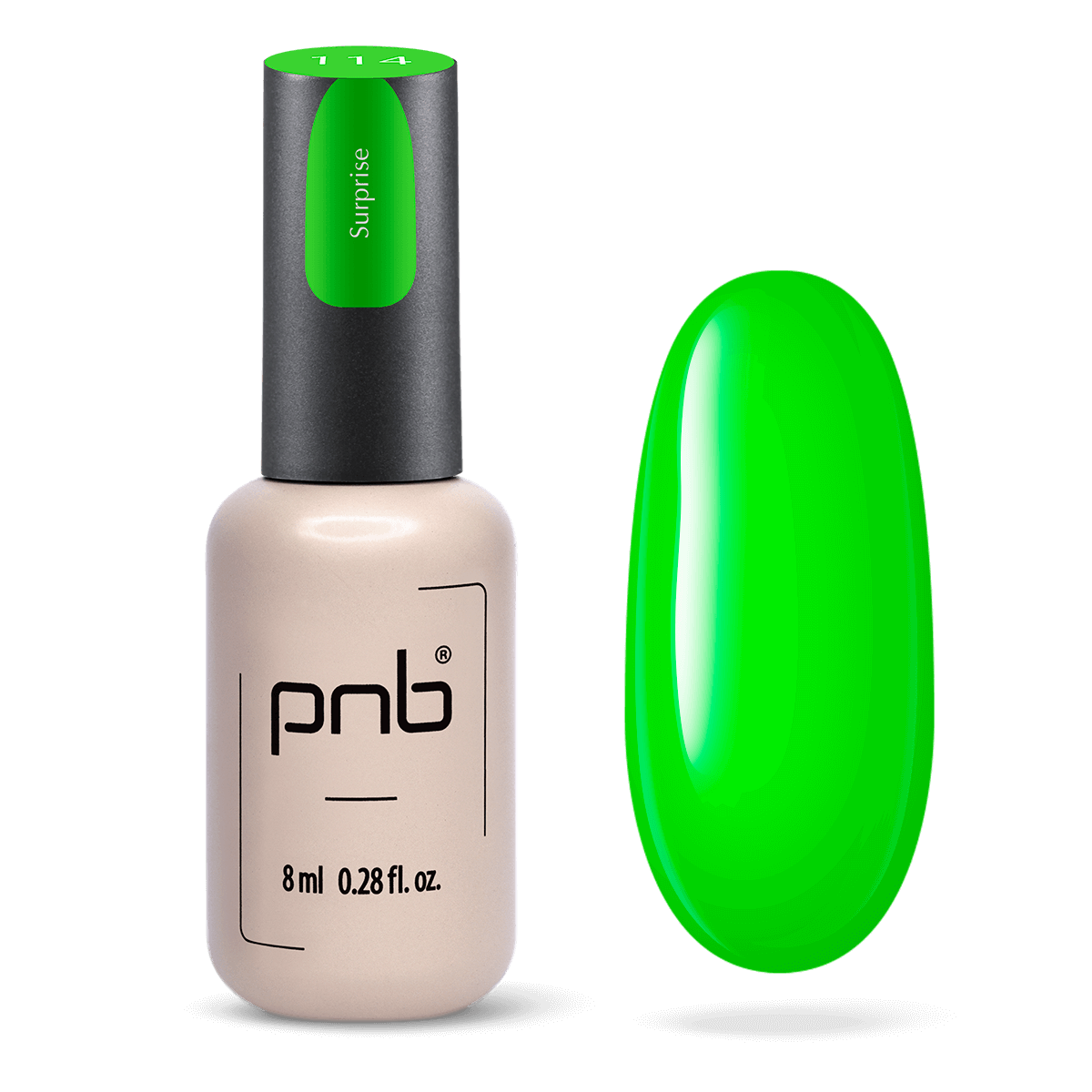 PNB-Collection Été 2025
