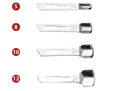 CAPRON-Lames De Gouge En Acier Inoxydable