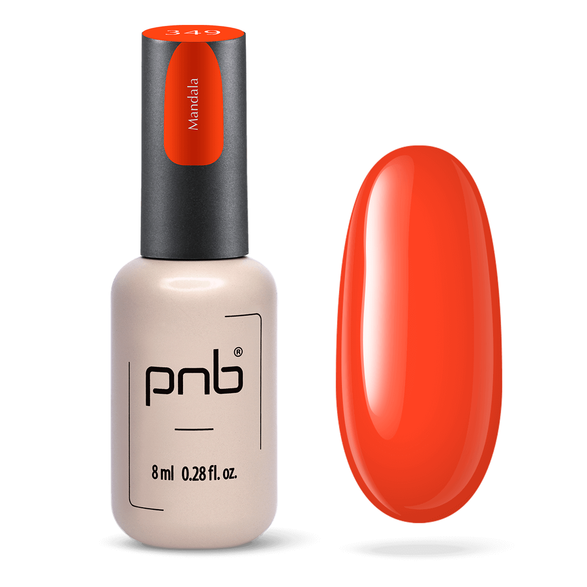 PNB-Collection Été 2025