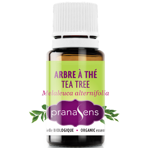 Essential Oil Tea tree by Pranasens