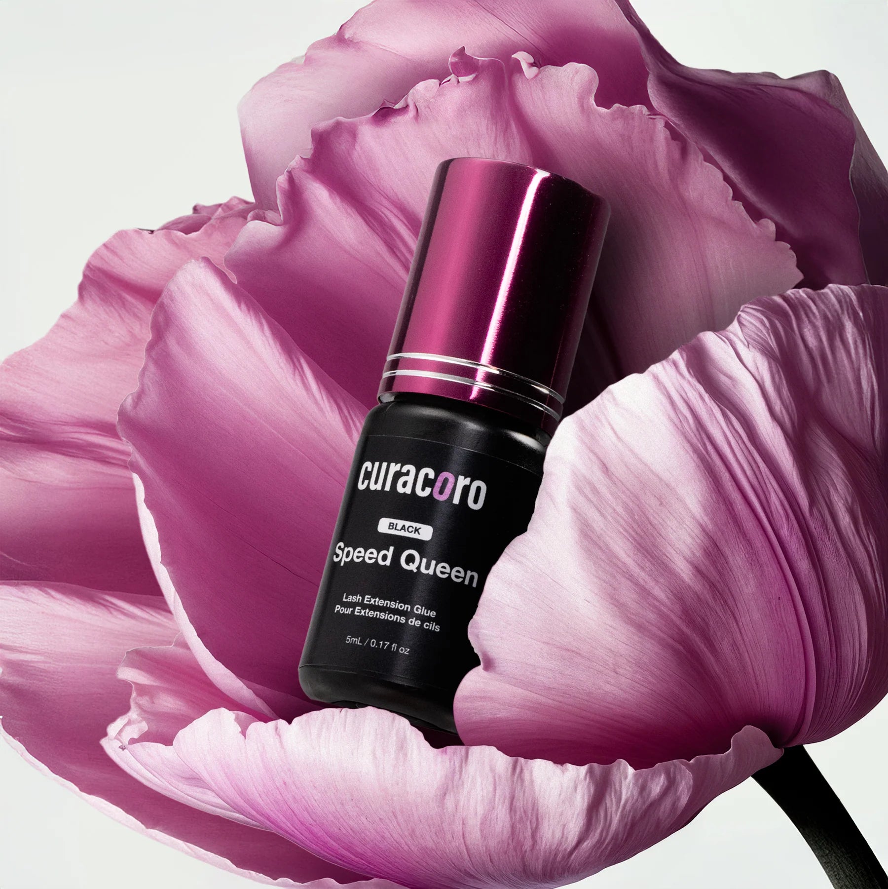 Curacoro-Adhésif Speed Queen