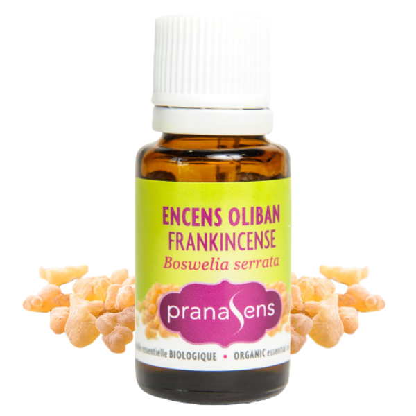 Pranasens-Huile essentielle biologique Encens Oliban, Frankencense (Boswellia caterii)