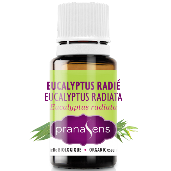 Pranasens-Huile Essentielle Eucalyptus Radié 15ml