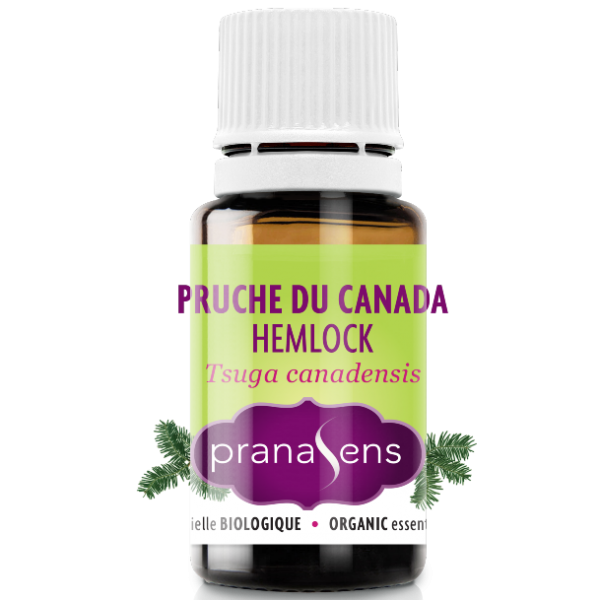 Pranasens-Huile Essentielle Pruche Du Canada 15ml