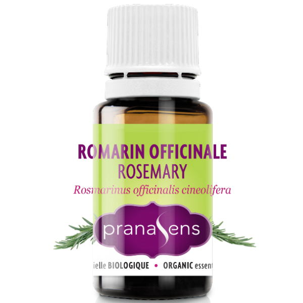 Essential Oil Rosemary by Pranasens