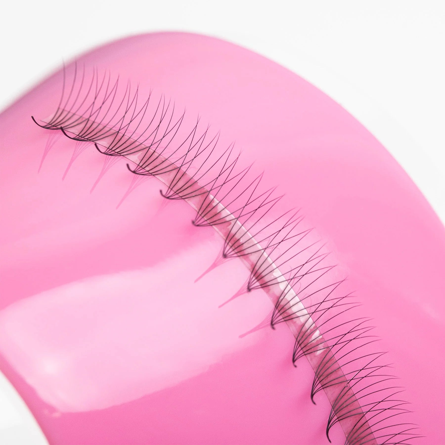 LLBA-6D Ultra-Speed Promade (mixed) | 1000 bouquets