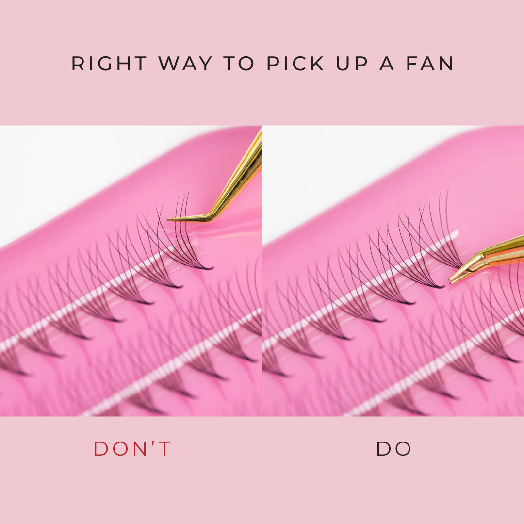 LLBA-6D Ultra-Speed Promade (mixed) | 1000 bouquets