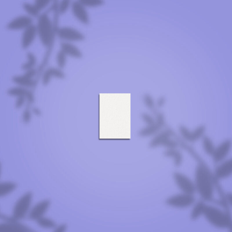 Staleks Pro-Mini Buffer Rectangulaires EXPERT 51 100/180 grain (50 pcs)