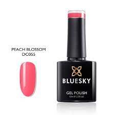 Bluesky Gel Polish DC055