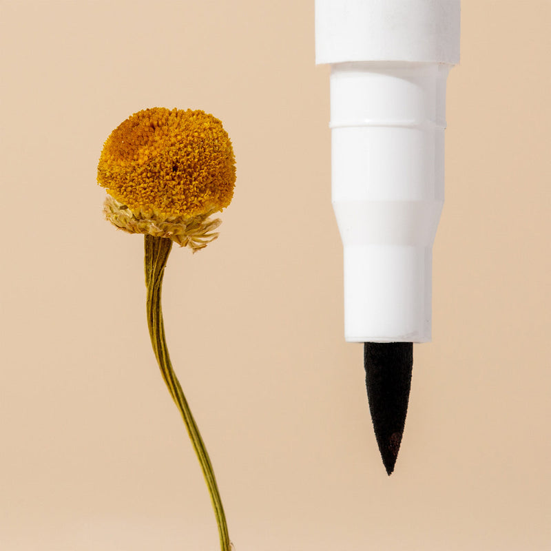Chamomile Makeup Eraser Pen de LASHFOOD
