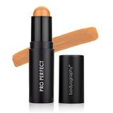 Bodyography-Pro Perfect Foundation Stick