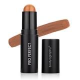 Bodyography-Pro Perfect Foundation Stick