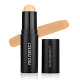 Bodyography-Pro Perfect Foundation Stick