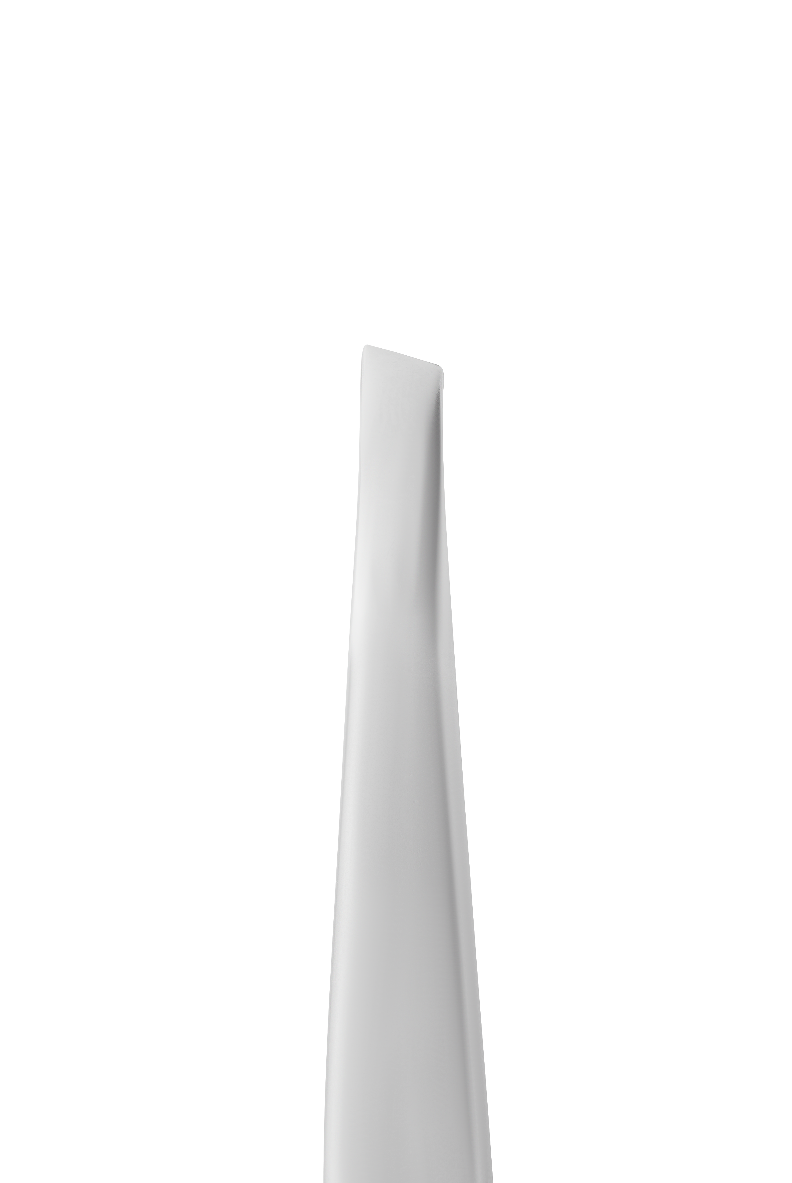 Pince à épiler Staleks Expert 10 type 3