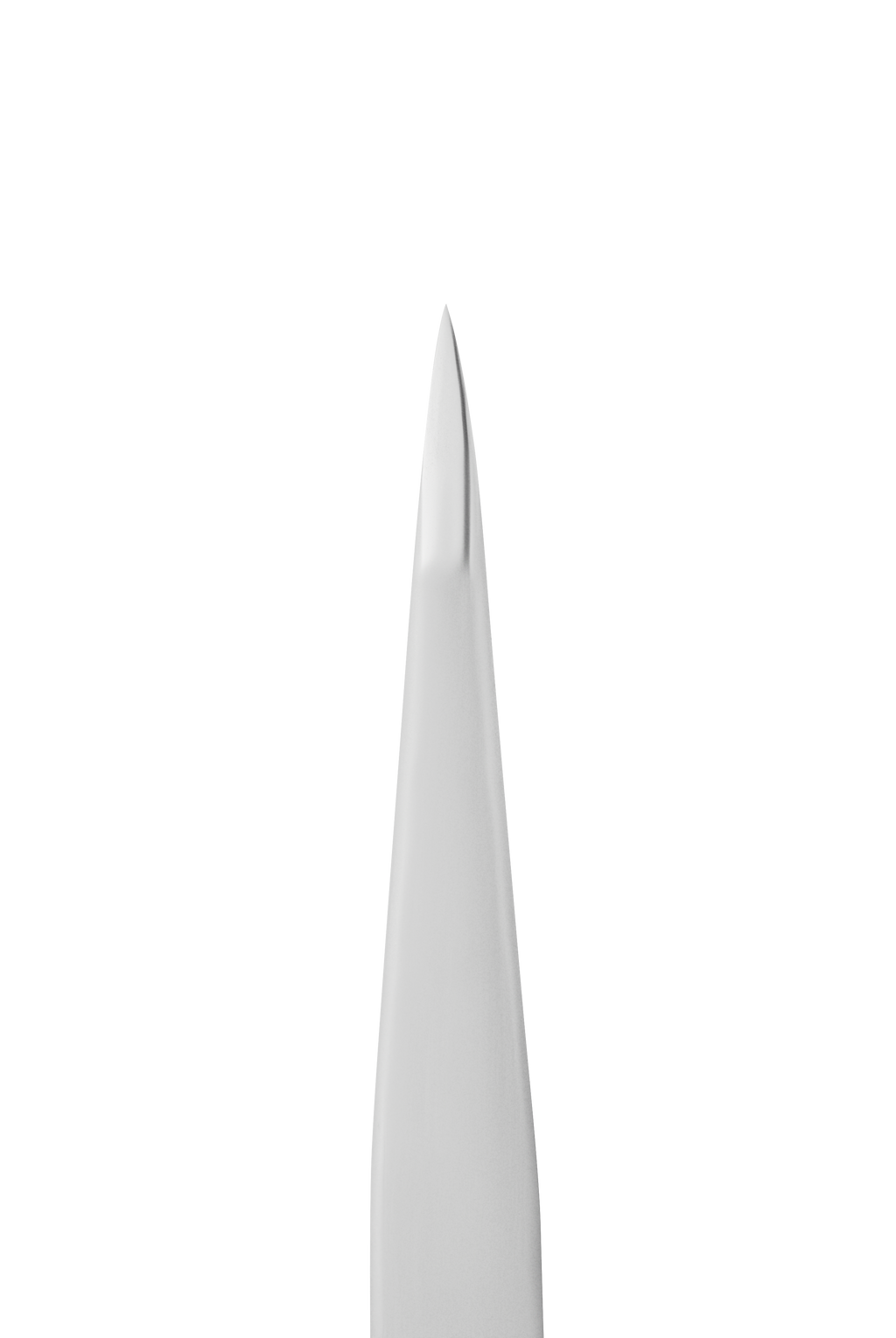 Pince à épiler Staleks Expert 10 type 5