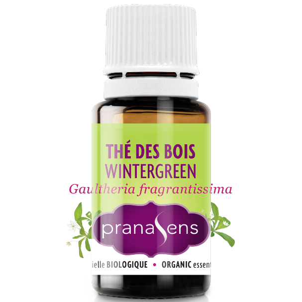 Pranasens Essential Oil Tea Wood