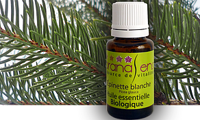 Essential Oil Organic White Spruce by Pranasens