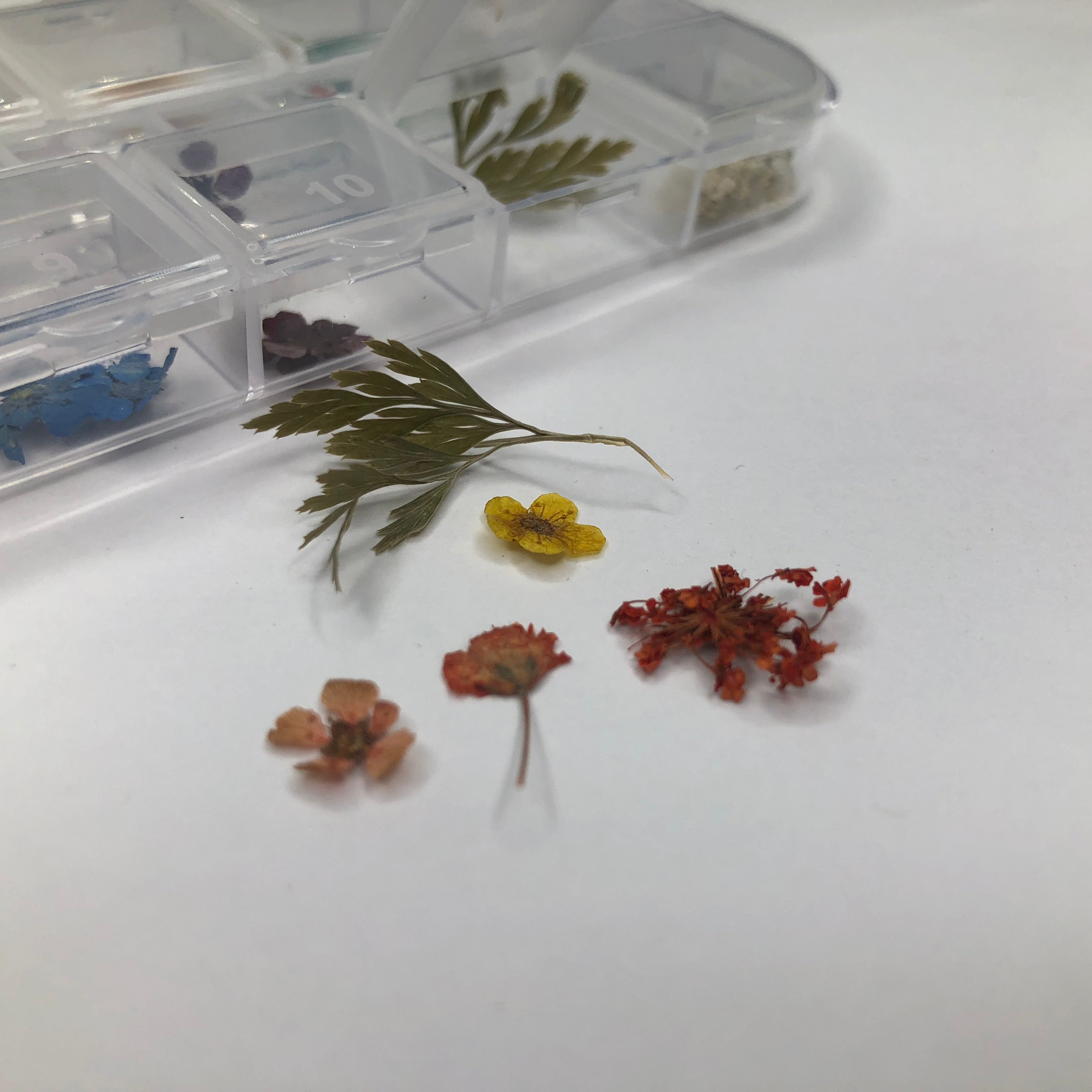 Fleurs Dreamy Milk bath